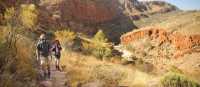 The Larapinta trail, known as one of Australia's best hikes | Paddy Pallin