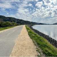Bay Trail | Jen Skubicki