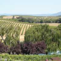 Enjoy a wine tasting on your self-guided Napa and Sonoma hiking tour. | Keri May