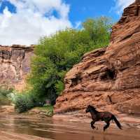 Canyon de Chelly’s wild spirit in motion