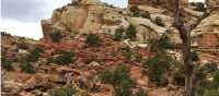 Trail through the heart of Capitol Reef | Jake Hutchins