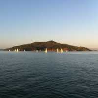 Dreamy views of Angel Island