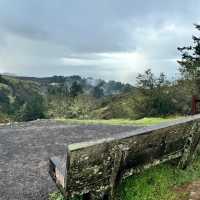 Ocean views along your Muir Woods Hike | Jen Skubicki