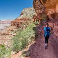 Perfect weather for hiking into the Grand Canyon