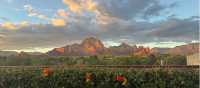 Red Rock Spendor, Sedona