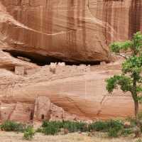 Step back in time at the White House Ruins