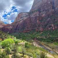 The Virgin River carving its way through the heart of Zion