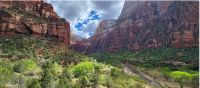 The Virgin River carving its way through the heart of Zion