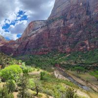 The Virgin River carving its way through the heart of Zion